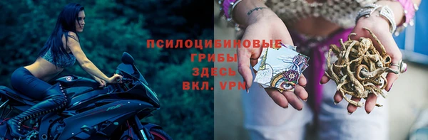 герыч Приозерск